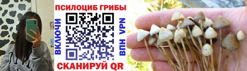 магазин продажи мориарти клад Псилоцибиновые грибы GOLDEN TEACHER Мценск